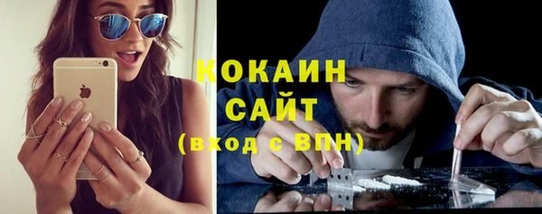 прущие грибы Бронницы