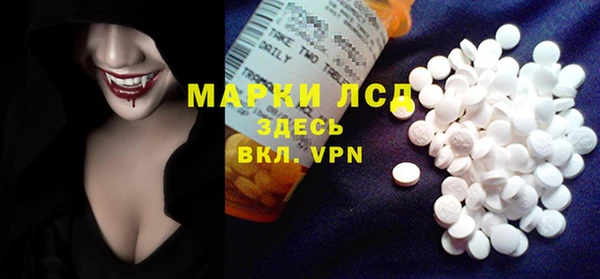 прущие грибы Бронницы