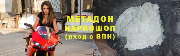 прущие грибы Бронницы