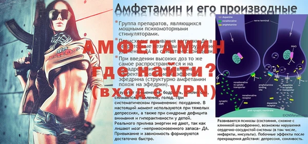 прущие грибы Бронницы