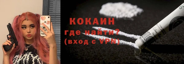 мяу мяу мука Бородино