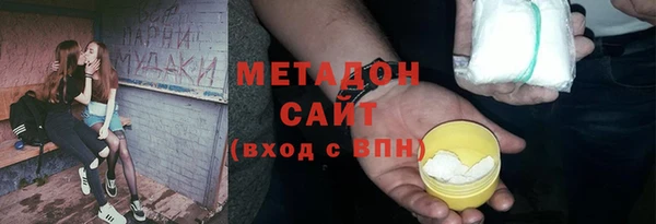 прущие грибы Бронницы