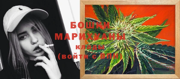 прущие грибы Бронницы