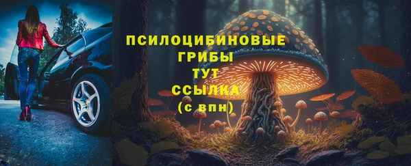мяу мяу мука Бородино