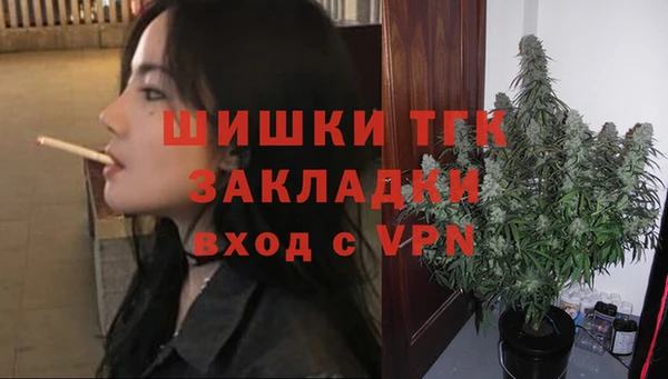 мяу мяу мука Бородино