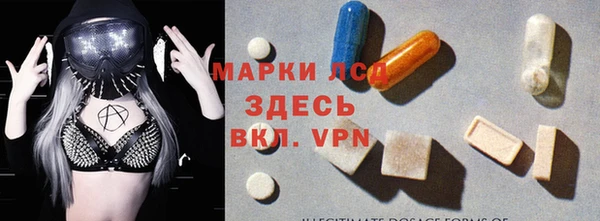 прущие грибы Бронницы